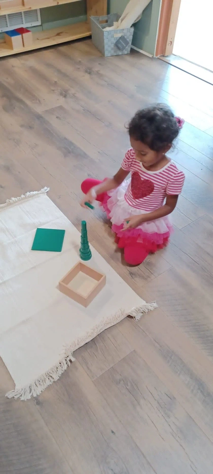 montessori kids academy of windermere