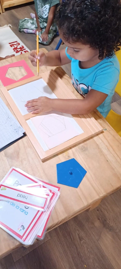 montessori kids academy of windermere