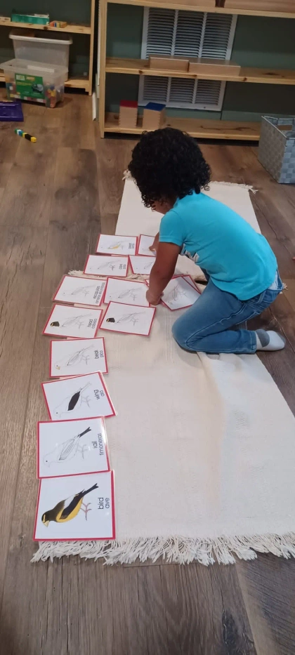 montessori kids academy of windermere