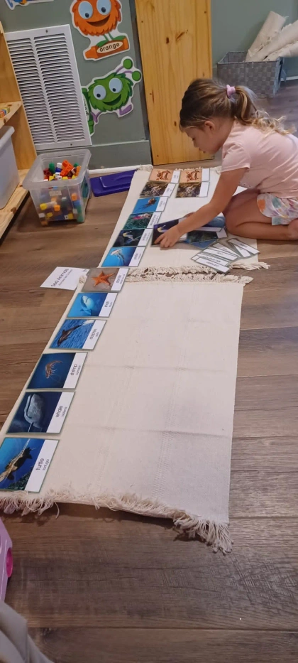 montessori kids academy of windermere