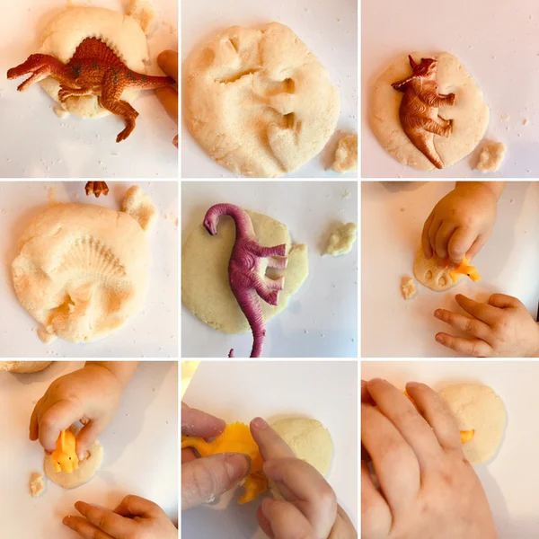 Dinosaur fossil clay impressions